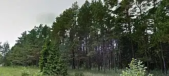 Soodevahe