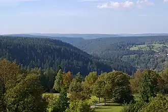 Panorama