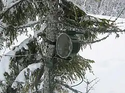 Dissimulée dans un sapin au bord de la route, la mine antichar suédoise Bofors Frdm 14 génère un noyau capable de perforer 60 mm d'acier à blindage à une distance de 30 m.