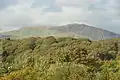 Bois et montagnes à proximité.