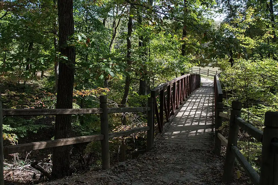 Sentier forestier.