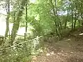 Forêt