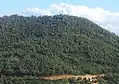 Foret de Thahanouts
