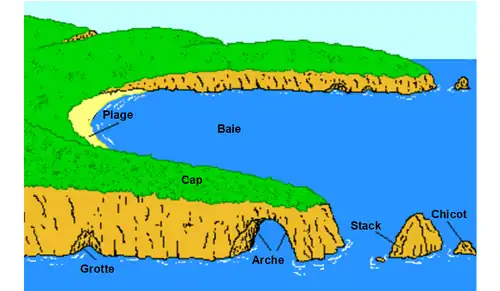 Diagramme illustrant l'érosion des caps, les grottes évoluant en arche puis en stack et en chicot  (voir la section Géomorphologie).