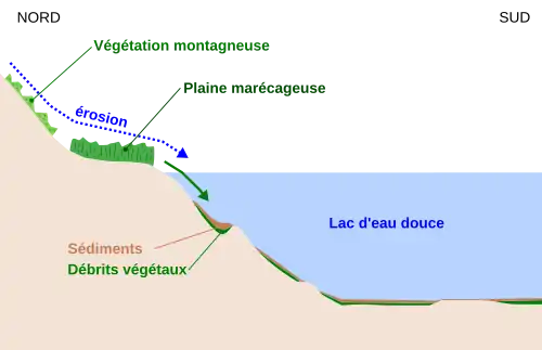 Schémas montrant comment l'érosion apporte les débris végétaux dans un lac avant que ceux-ci ne soient recouverts par les sédiments.