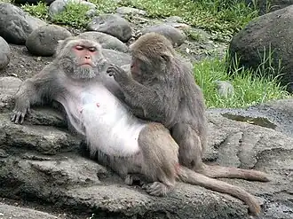 Description de cette image, également commentée ci-après
