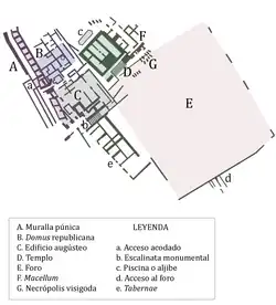 Forum
