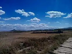 Timgad