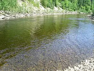 Une fosse à saumon