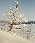 Rehefeld-Zaunhaus (de)