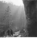 Le Winterstein (Sächsische Schweiz) (de), en Suisse saxonne