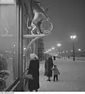 Enseigne d'une pharmacie, 1959.