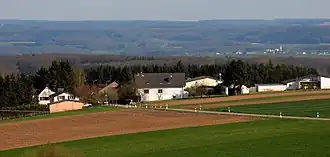 Folschette