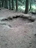 Fox hole dans le bois Jacques