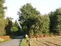 En arrivant des Frauds