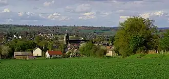 Frênes