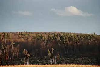Schönaich