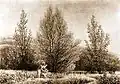 Caspar David Friedrich: Printemps, 1826