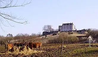 Image illustrative de l’article Château de Montréal (Issac)