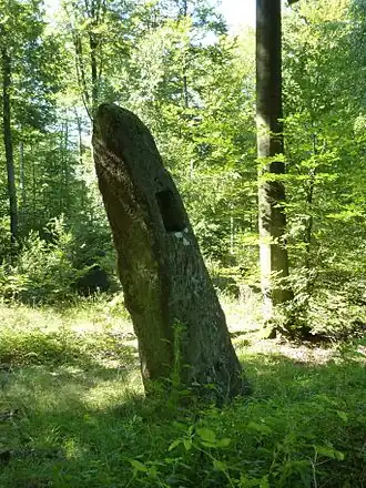Rosteig