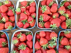 Fraises.