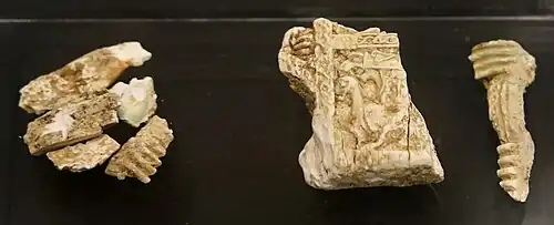 Fragments  d'un cercueil en ivoire
