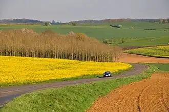 Printemps près de Logny-Bogny dans le nord-ouest.