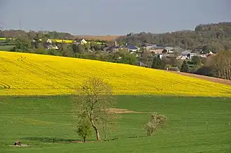 La Cerleau