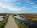 Les polders dans la réserve de Moëze-Oléron.