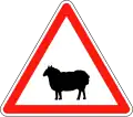 A15a2 - Passage d’animaux domestiques