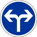 B21e