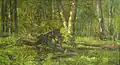 Fallen Tree, sans date