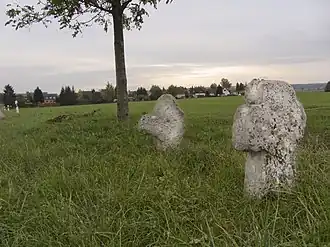 Frellstedt