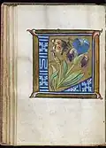 Lettrine enluminée, encre et peinture sur parchemin, XVIe&nbsp;siècle (Renaissance).