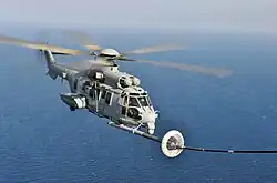 Caracal