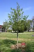 Fresnes (Val-de-Marne)Parc André Villette