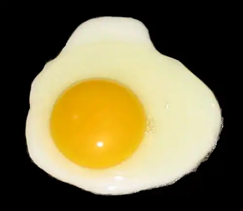 L'œuf au plat, l'une des spécialités à base d'œuf&nbsp;(en) les plus connues. Le blanc et le jaune sont bien visibles.