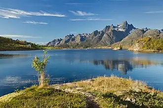 Derrière un petit promontoire herbeux et un minuscule arbuste, une belle étendue d'eau bleue, de grandes montagnes pierreuses grandissent dans le ciel.
