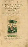 Frontispice d’Historiae animalium... (1554) de Conrad Gessner.