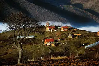 Ceranja