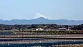 Le mont Fuji et le lac Hamana.