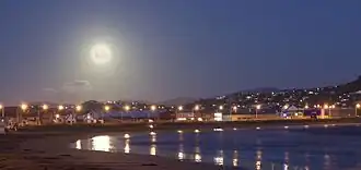 Lyall Bay