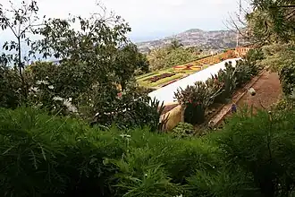 Le Jardin botanique