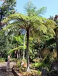 Madeira.