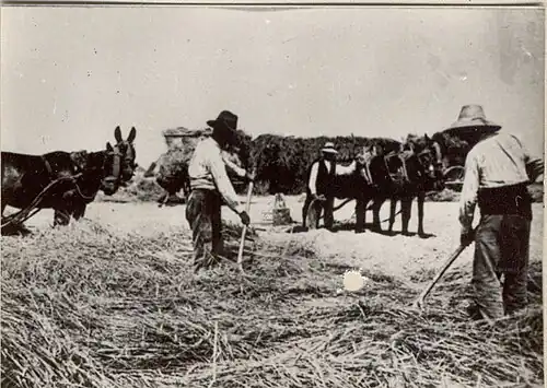 Scène agricole.Fondation Joaquín Díaz.