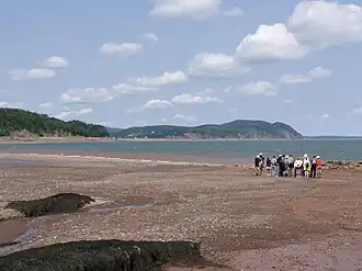 Image illustrative de l’article Réserve de biosphère de Fundy