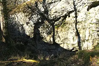 Puits des Vaux.