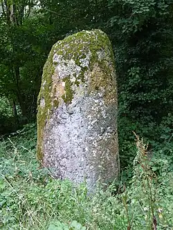 Image illustrative de l’article Fuseau de Margot
