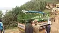 Camion Fuso transportant des vaches au Rwanda.