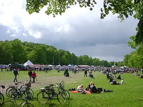 Salon de voitures anciennes Gärdesloppet, 2011.